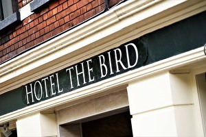 Hotel The Bird